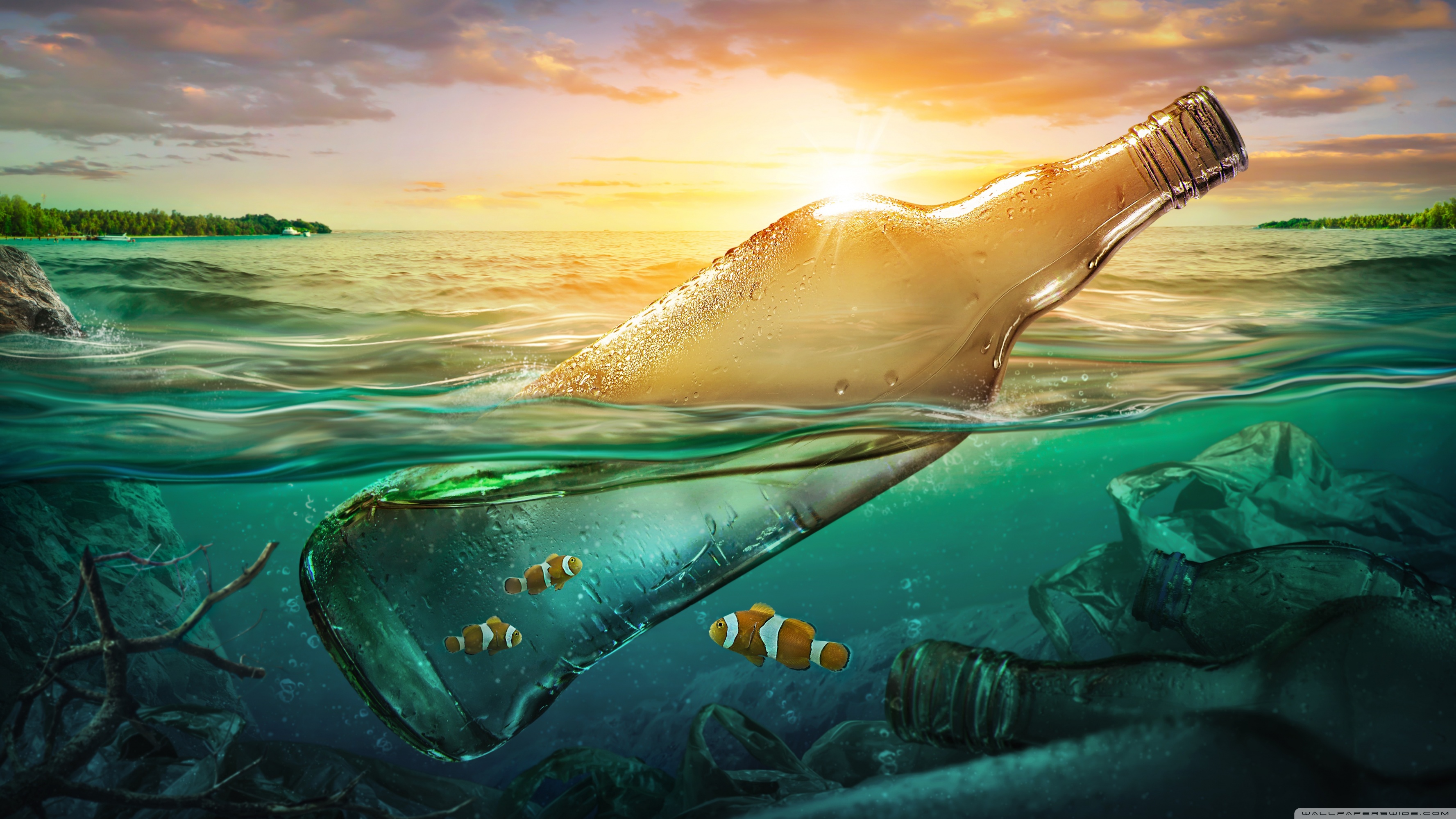 Love of my life Love of my life